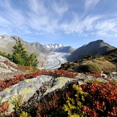 Jewel Duplex Fieschertal